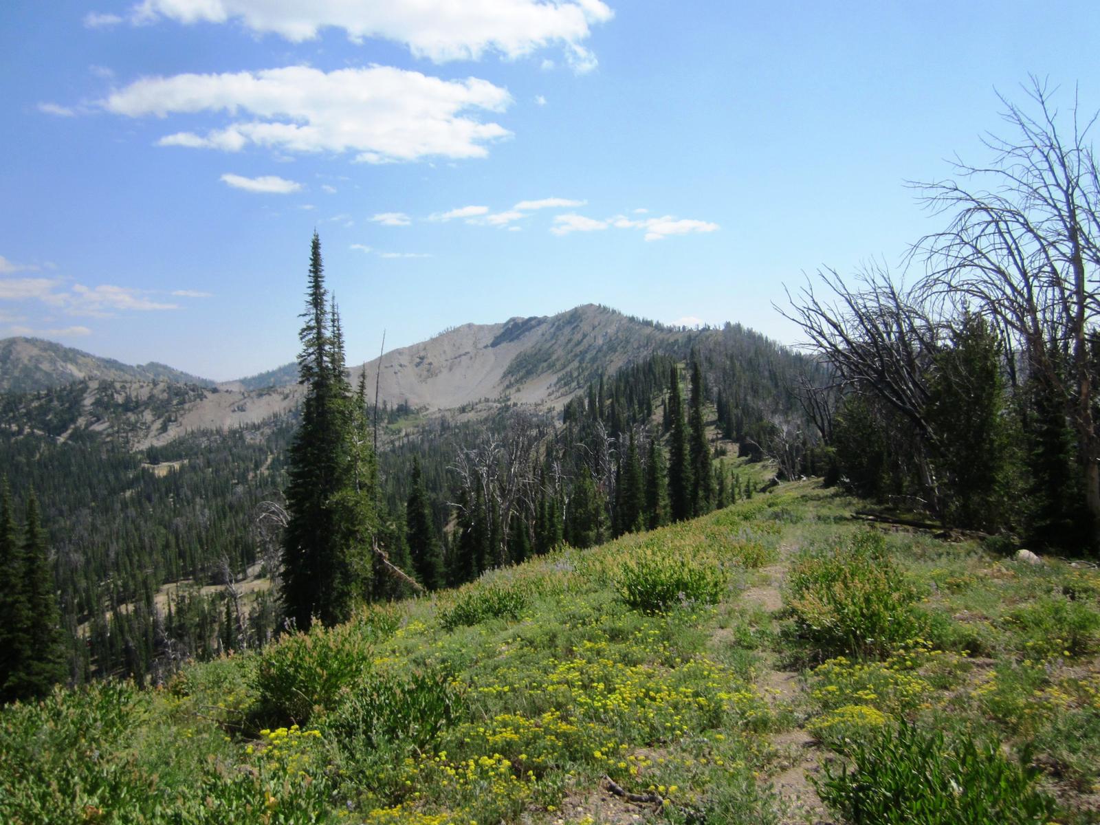 Historic Mining Inholdings